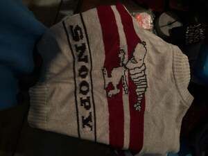 AE x Peanuts Snoopy Crew Neck Sweater